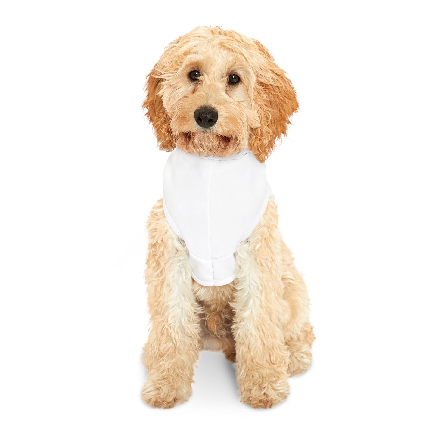 Happy Howloween Pet Hoodie